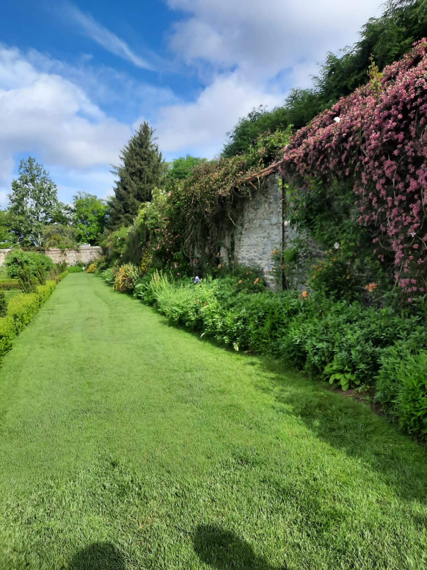 Jardin botanique