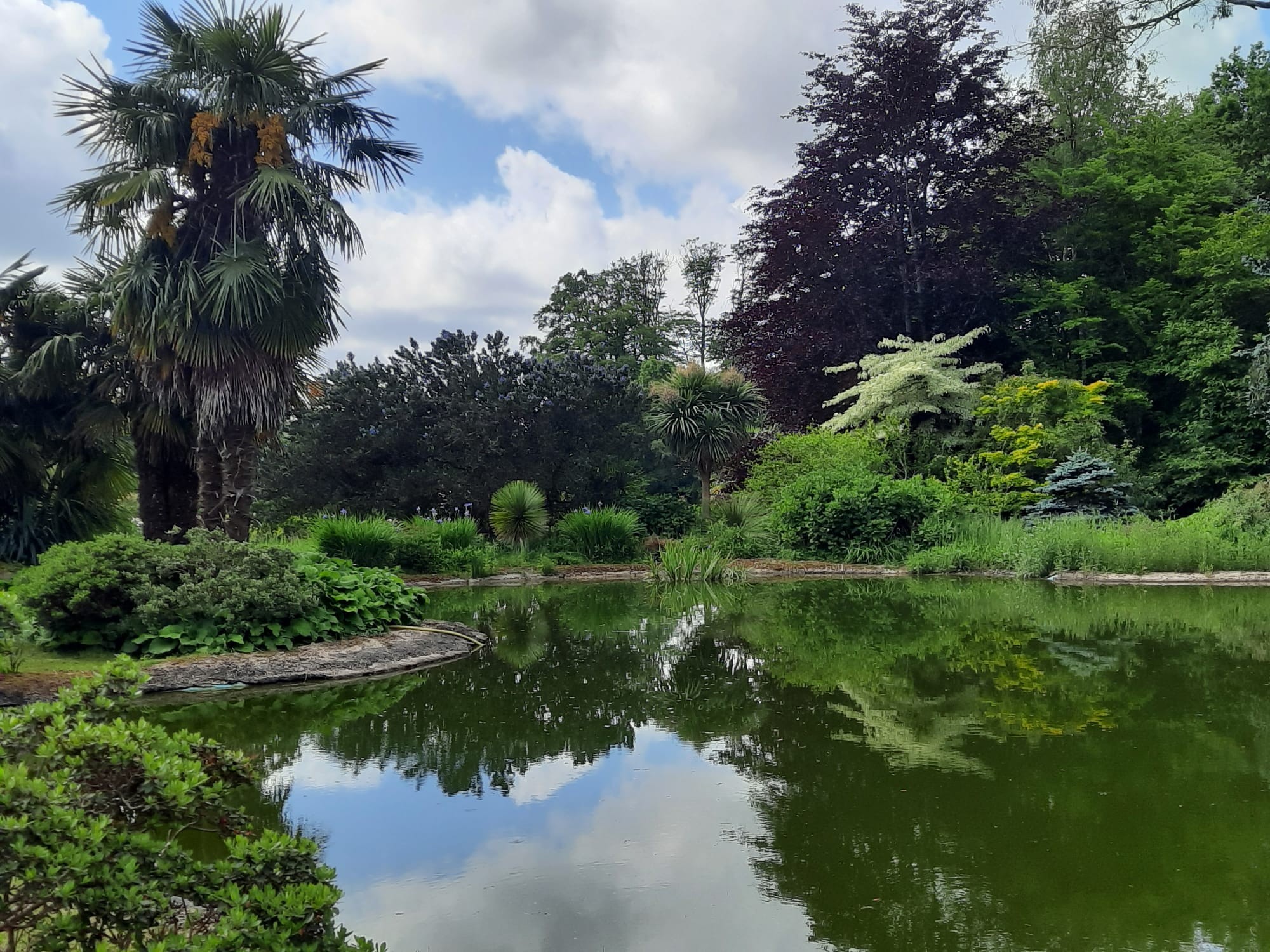 Jardin botanique