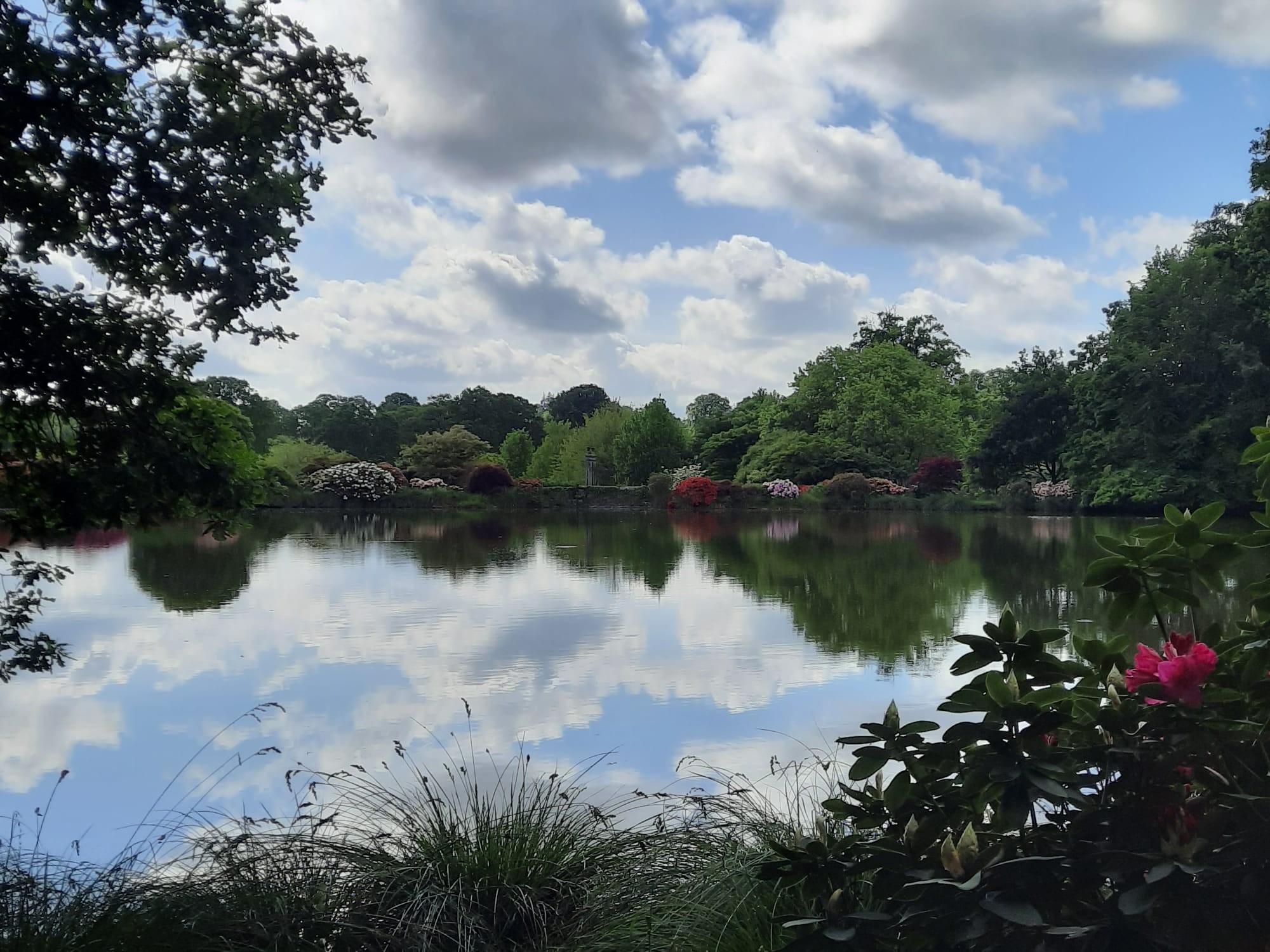 Jardin botanique