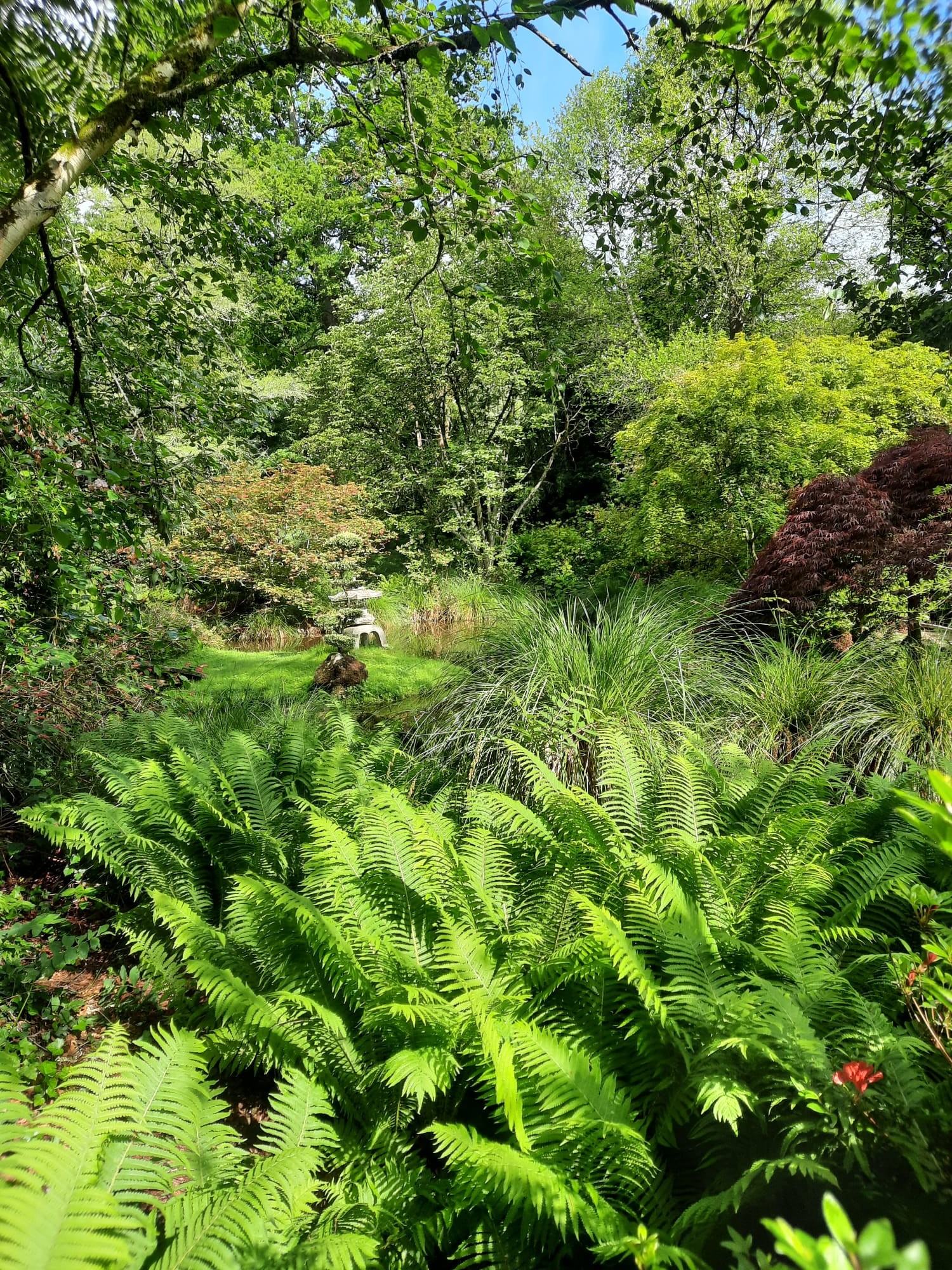 Jardin botanique