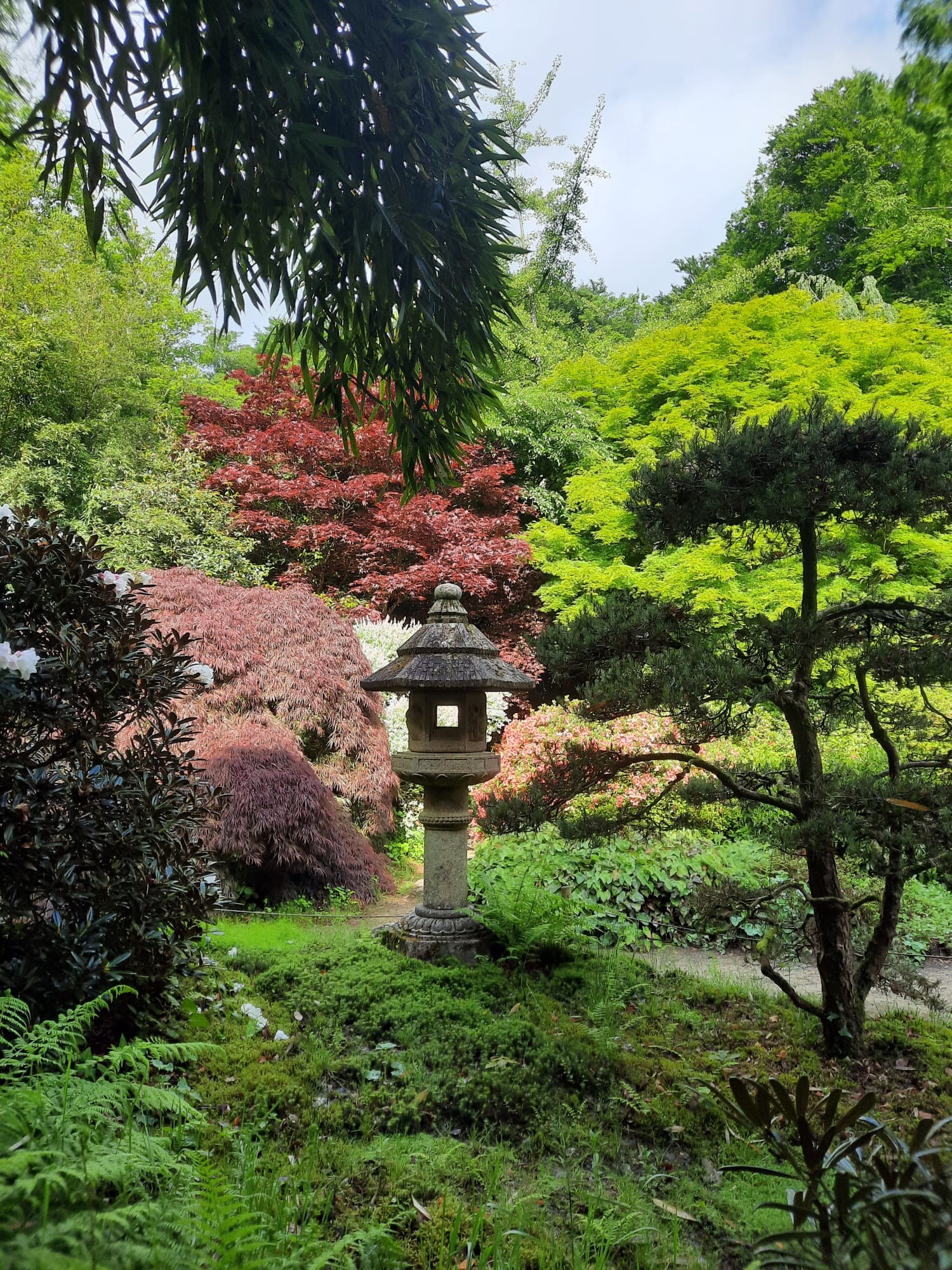 Jardin botanique