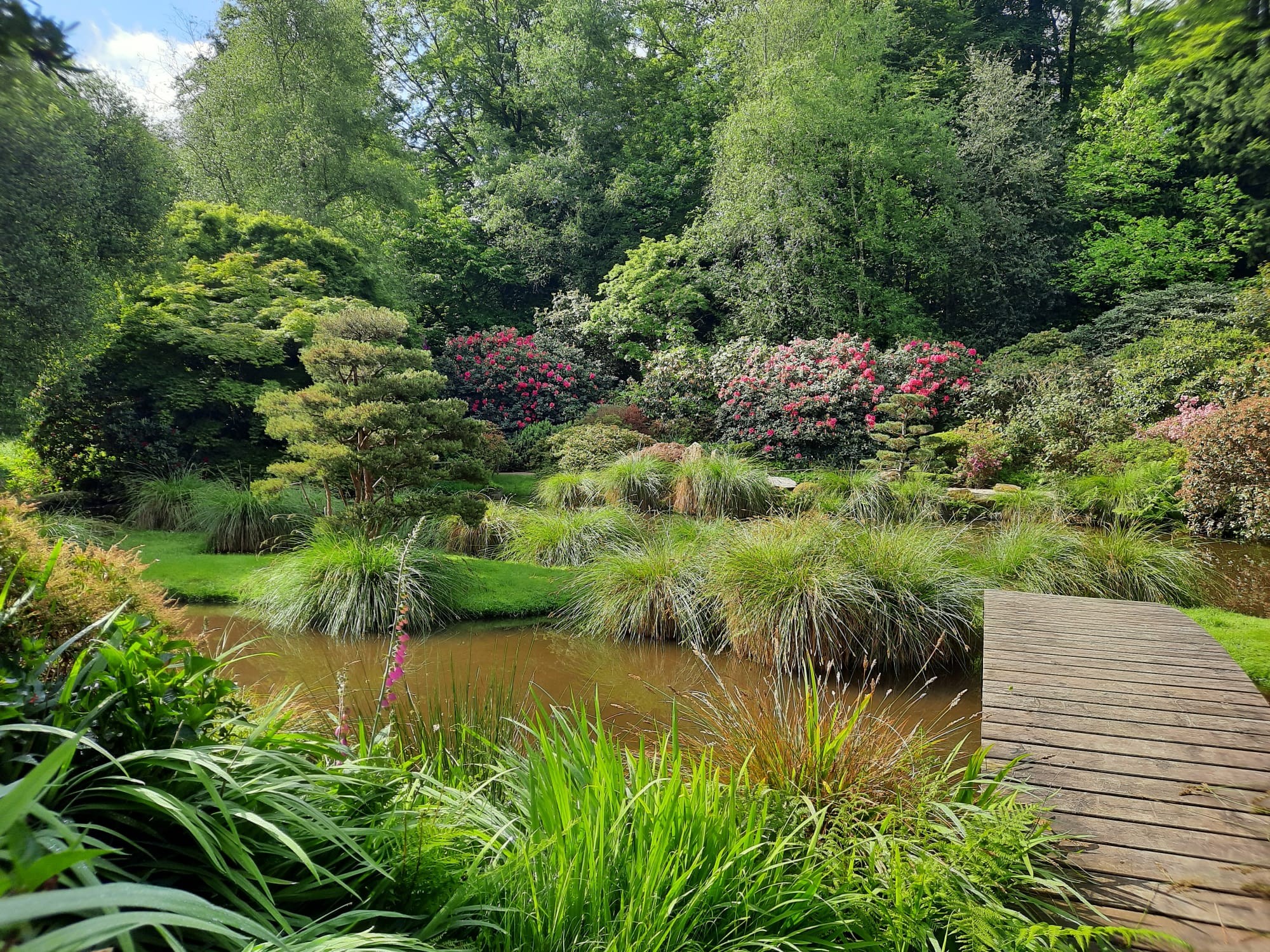 Jardin botanique