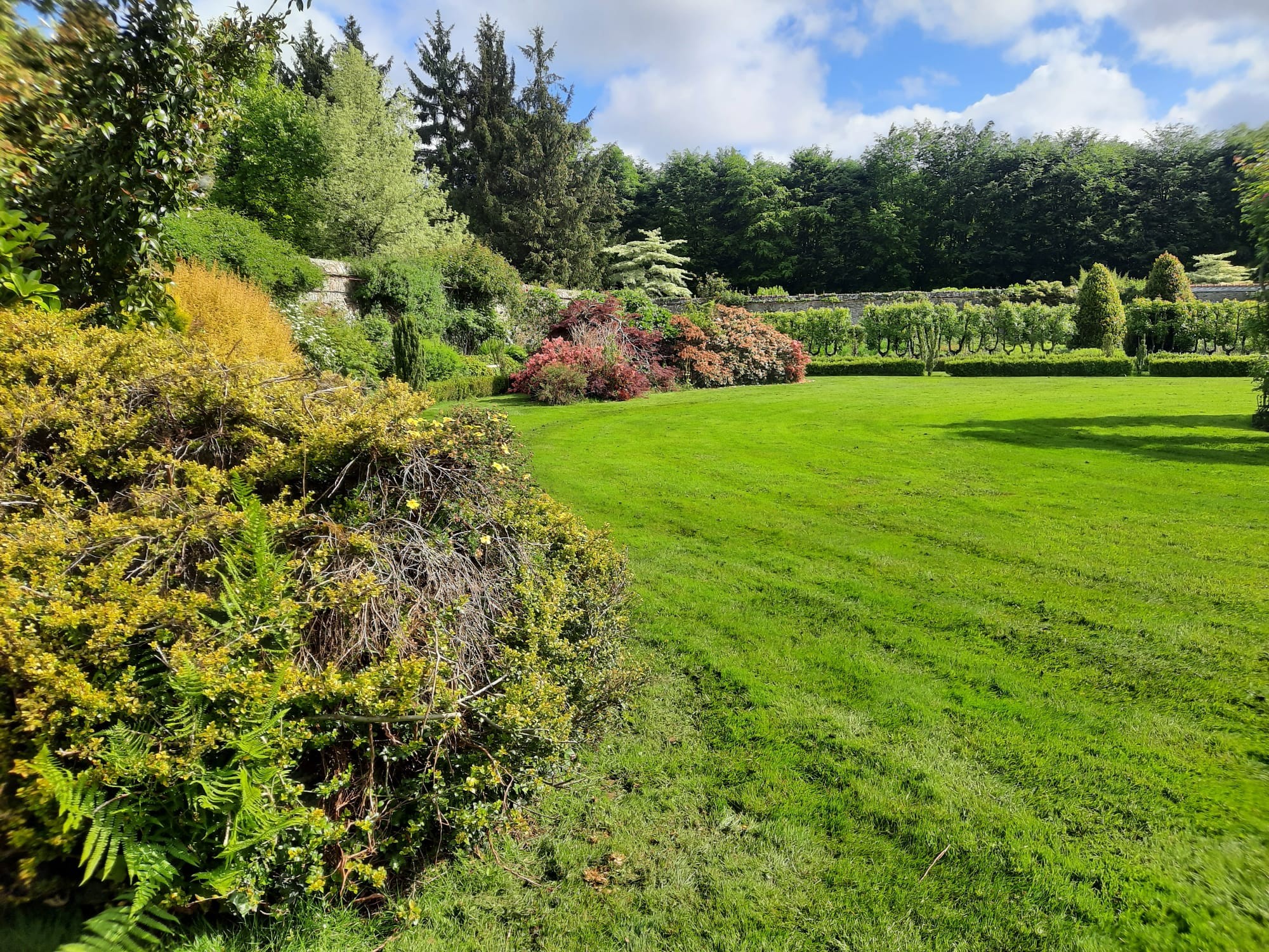 Jardin botanique