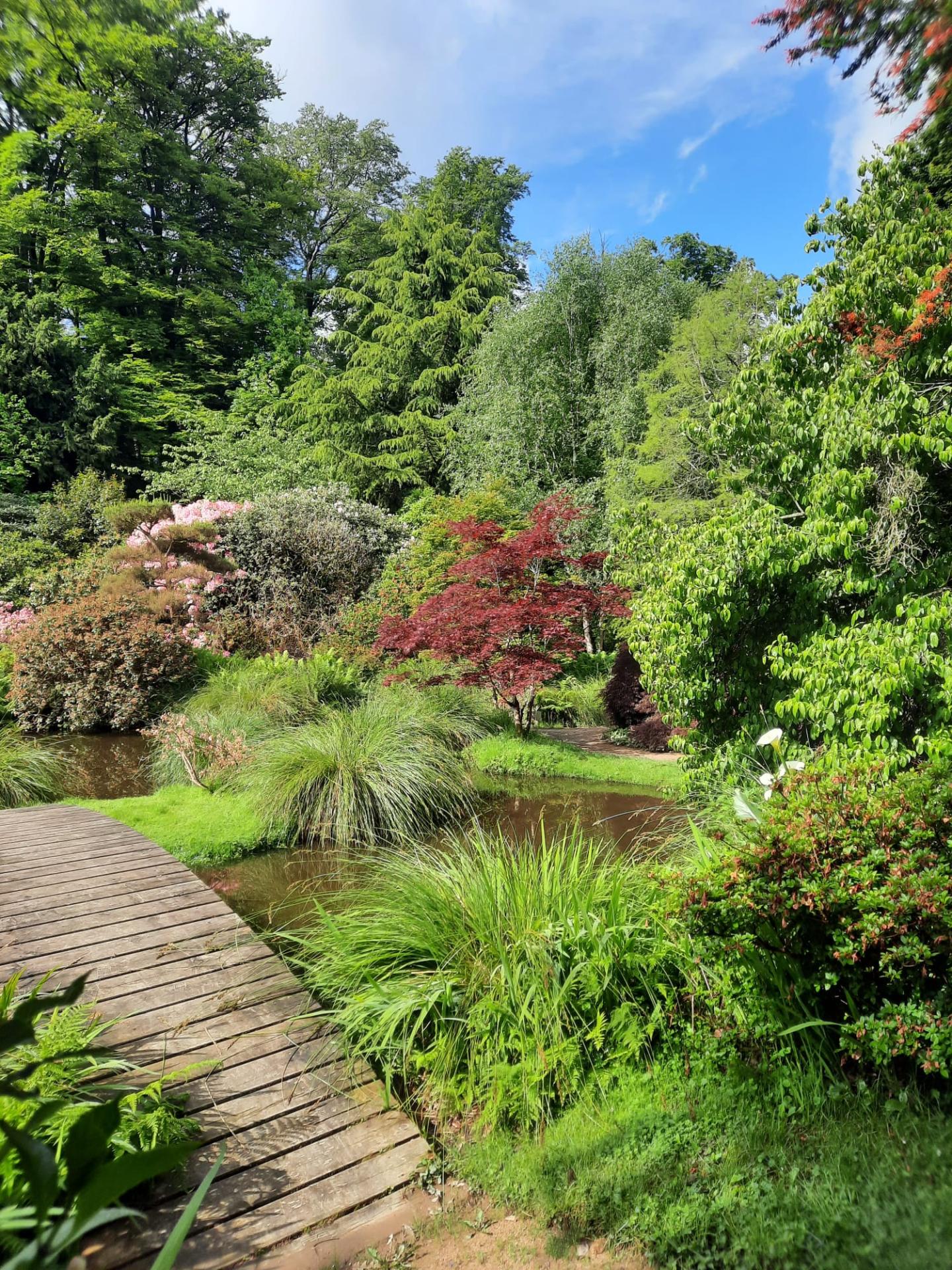 Jardin botanique