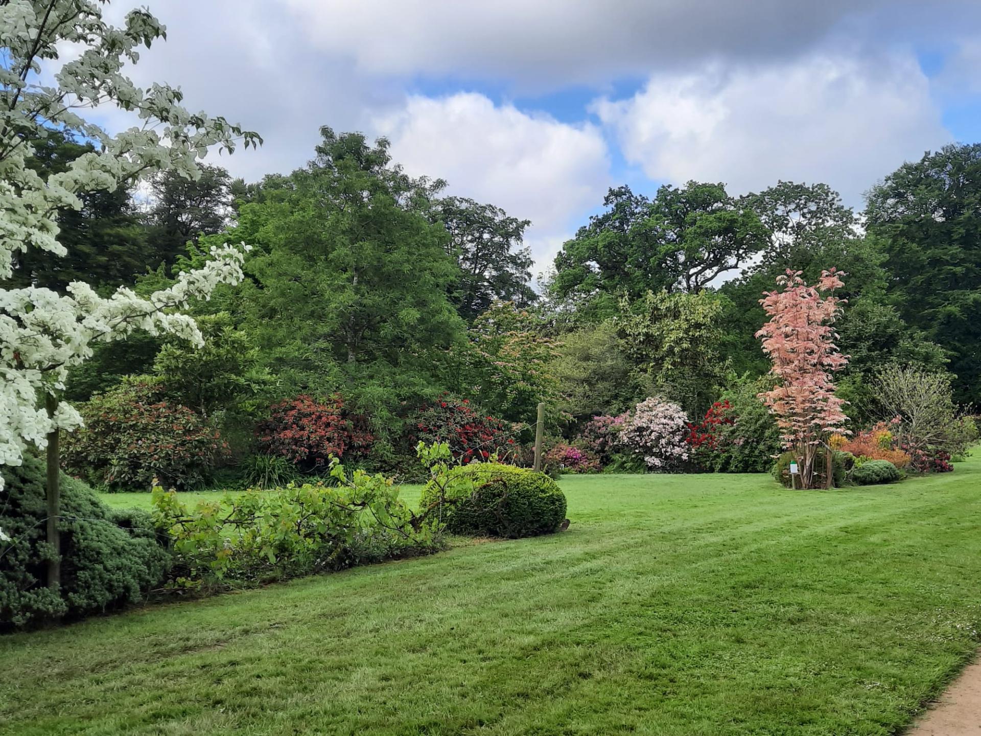 Jardin botanique